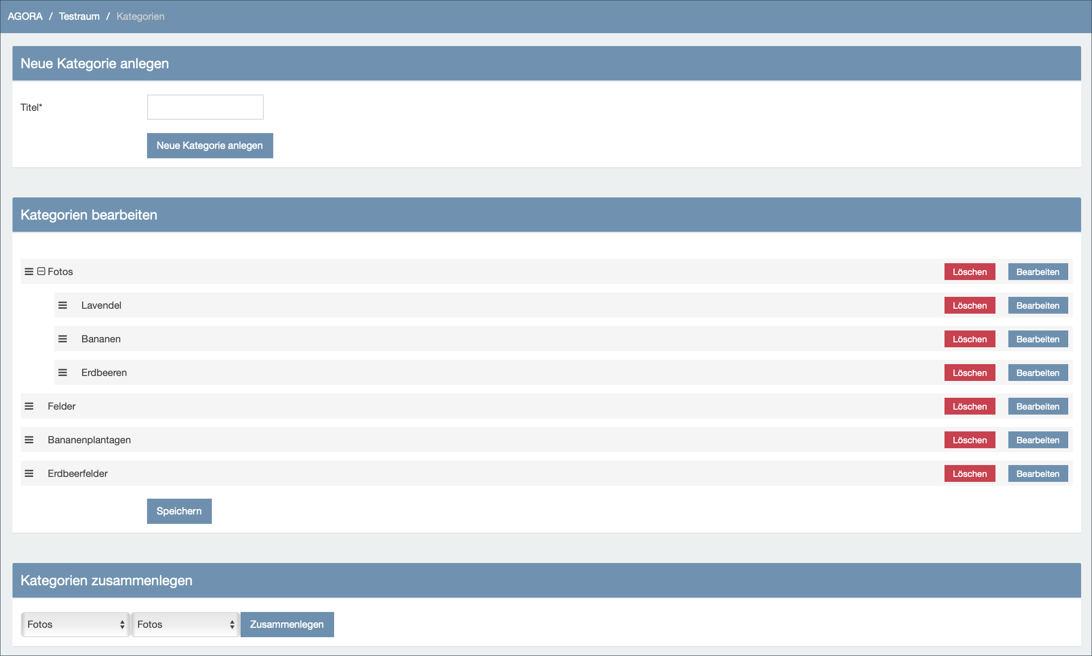 Screenshot von Agora-Raum, neue Kategorien anlegen und Kategorien bearbeiten